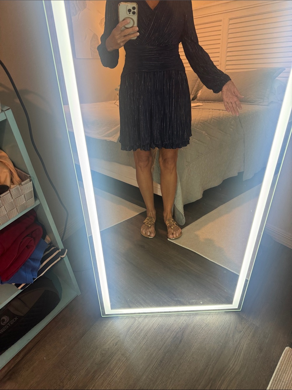 Pleated Black Mini Skirt - Classic Women's Skirt